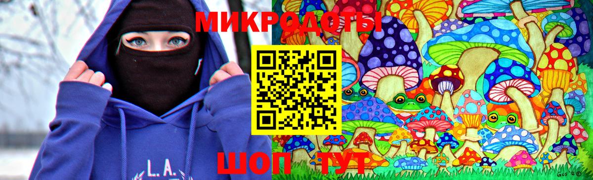 Семилуки  Псилоцибиновые грибы Psilocybe  Вход с VPN 